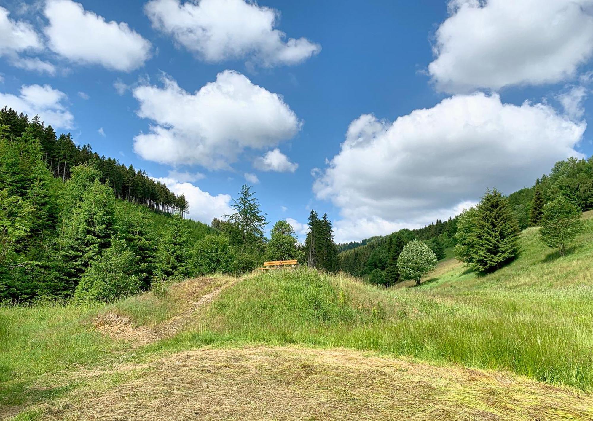 Erzgebirge Suite Bergruhe Oberwiesenthal Εξωτερικό φωτογραφία