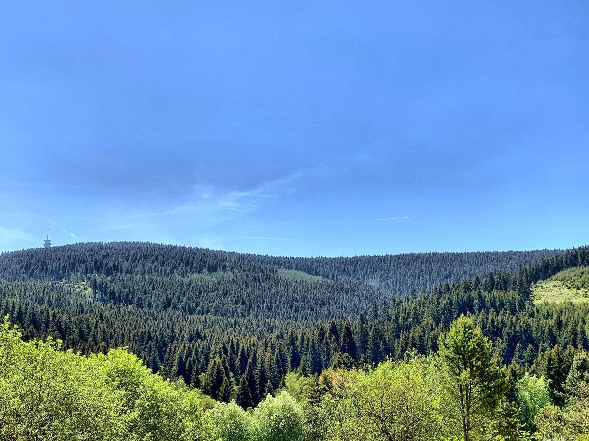 Erzgebirge Suite Bergruhe Oberwiesenthal Εξωτερικό φωτογραφία