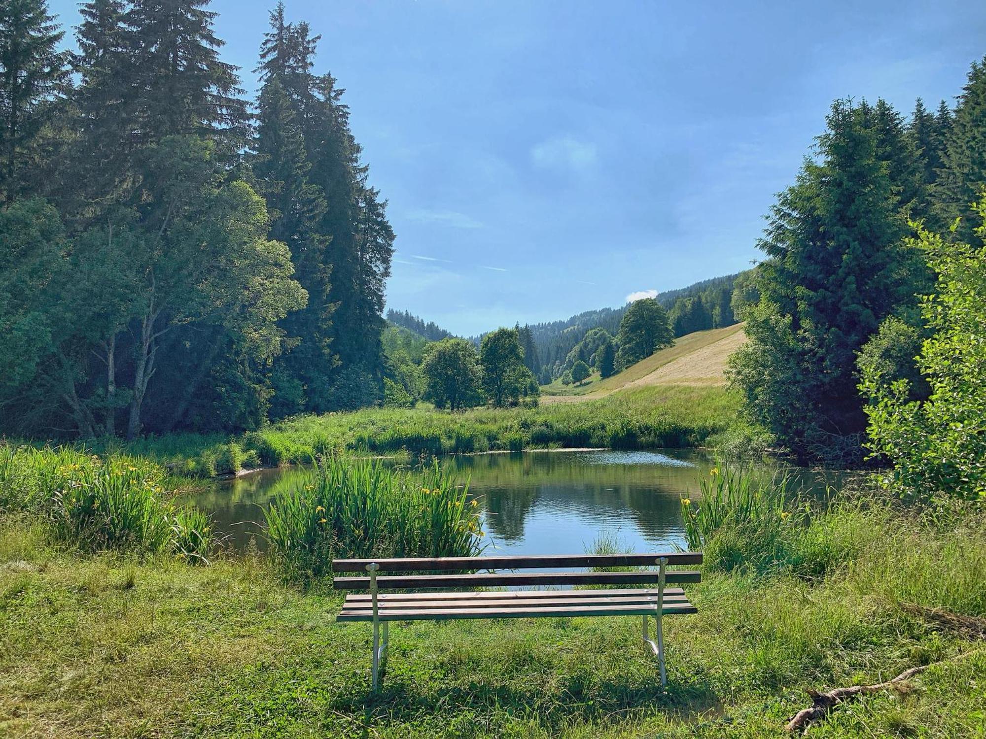 Erzgebirge Suite Bergruhe Oberwiesenthal Εξωτερικό φωτογραφία